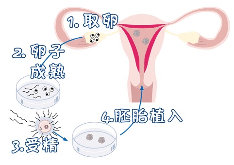 刘阳旭主任